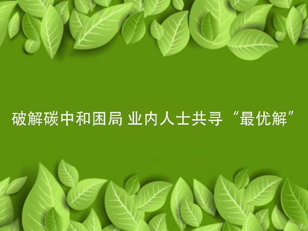 破解碳中和困局 業(yè)內(nèi)人士共尋“最優(yōu)解”