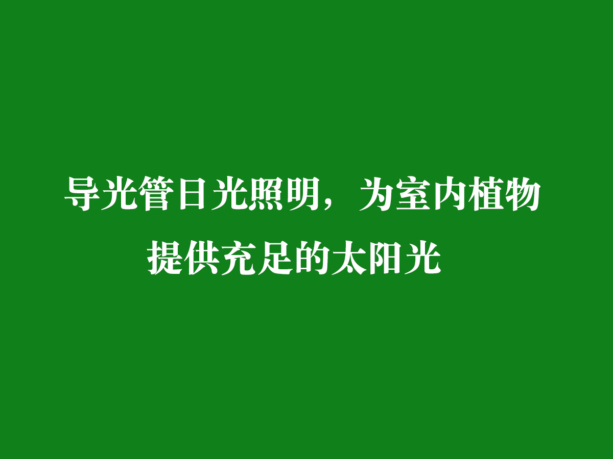 導(dǎo)光管日光照明，為室內(nèi)植物提供充足的太陽光